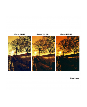 Harman Red 125 120 nr 2