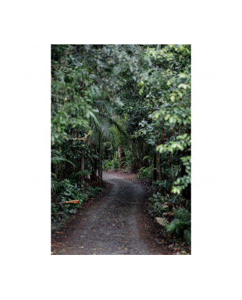 Samyang AF 1,8/85 P FE    Sony E