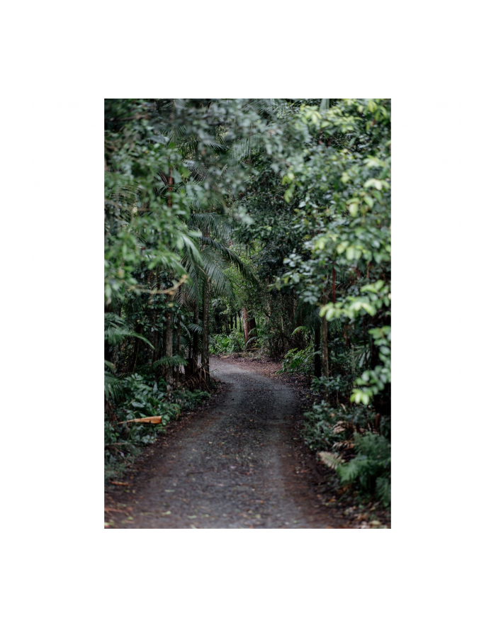 Samyang AF 1,8/85 P FE    Sony E główny