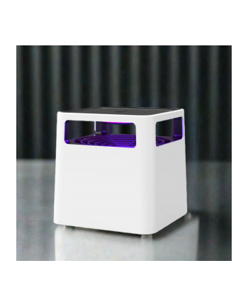 Stylies Enif biały Mückenfalle