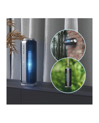 Stylies Auriga Mückenfalle