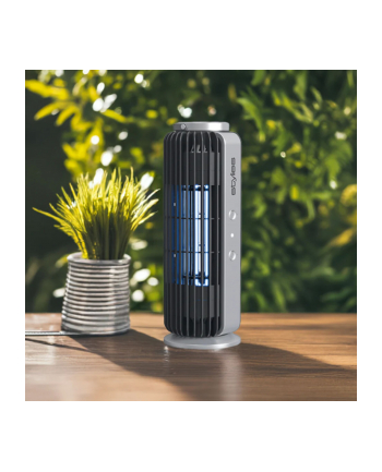 Stylies Auriga Mückenfalle