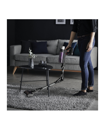 Rowenta RH 2037 X-Force 9.60 Allergie