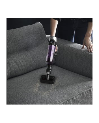 Rowenta RH 2037 X-Force 9.60 Allergie