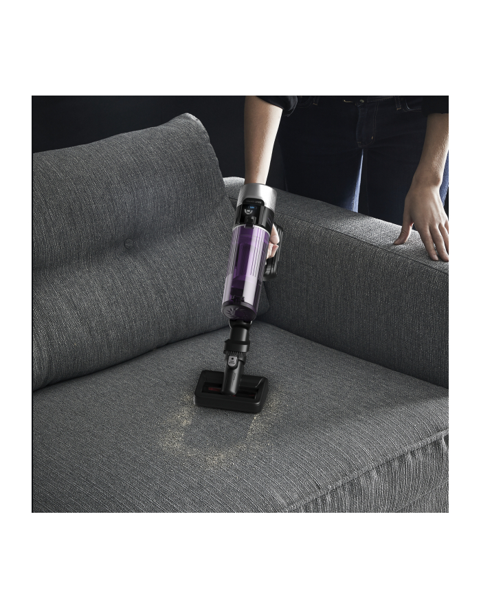Rowenta RH 2037 X-Force 9.60 Allergie główny
