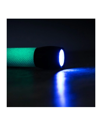 Carson SL-44 UV-Licht