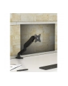 icybox Uchwyt dla monitora IB-MS203-T do 32 '' 2-9KG - nr 9