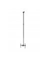 neomounts Uchwyt sufitowy TV/LCD CL35-440BL16XL 37-70 '' 50kg - nr 24