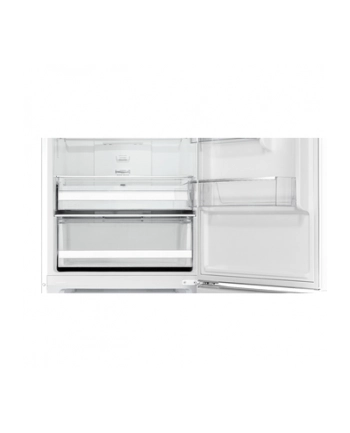 indesit Chłodziarko-zamrażarka INK2 5322 W4E nr 2