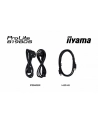 iiyama Monitor 19 '' B1980S-B1 HDMI,DP.PIVIOT,HAS/150mm - nr 5