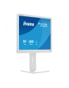 iiyama Monitor 19 '' B1980S-W1 HDMI,DP.PIVIOT,HAS/150mm - nr 17
