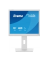 iiyama Monitor 19 '' B1980S-W1 HDMI,DP.PIVIOT,HAS/150mm - nr 33