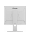 iiyama Monitor 19 '' B1980S-W1 HDMI,DP.PIVIOT,HAS/150mm - nr 4