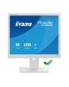 iiyama Monitor 19 '' B1980S-W1 HDMI,DP.PIVIOT,HAS/150mm - nr 50