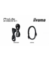 iiyama Monitor 19 '' B1980S-W1 HDMI,DP.PIVIOT,HAS/150mm - nr 7