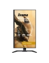 iiyama Monitor 32 cale GB3290QSU-B1 1ms,IPS,240Hz,2xHDMI,DP,400cd,1000:1,   USB HUBx4, 2x2W, HAS, - nr 52