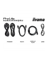 iiyama Monitor ProLite 34 cale XUB3493WQSU-B6 IPS,UWQHD,DP,2xHDMI,HAS,21:9,400cd,   120Hz,1000:1,1ms, USB HUBx4, 2x5W, - nr 44