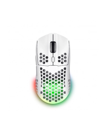 trust Mysz bezprzewodowa GXT 929W Helox biała nr 2