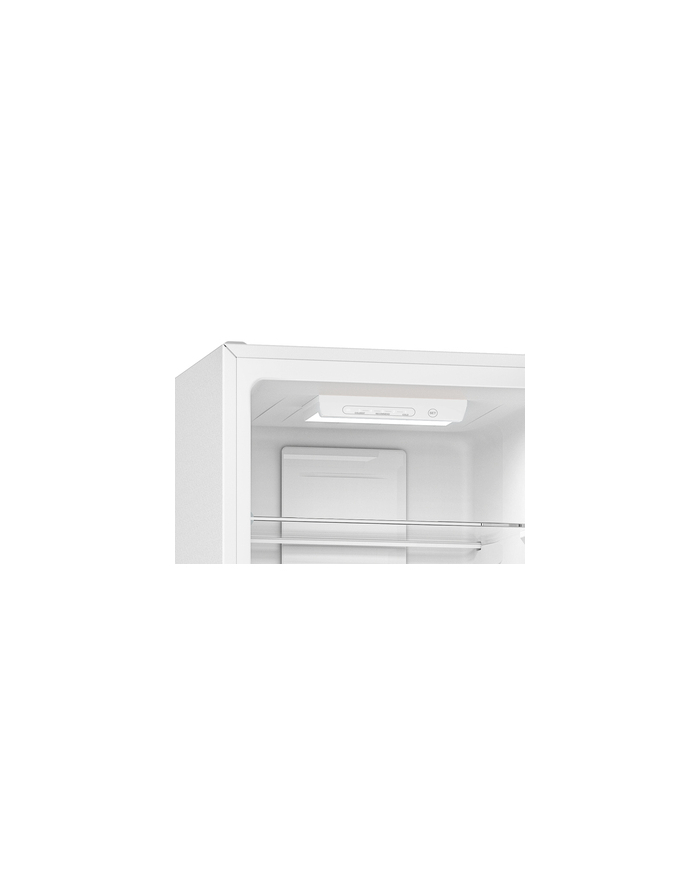 indesit Chłodziarko-zamrażarka INK2 5322 W4E główny