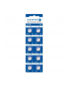 everactive Baterie alkaliczne mini AG13/G13/LR1154/LR44 blister 10 szt. - nr 1