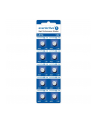 everactive Baterie alkaliczne mini AG5/G5/LR754/LR48 blister 10 szt. - nr 1