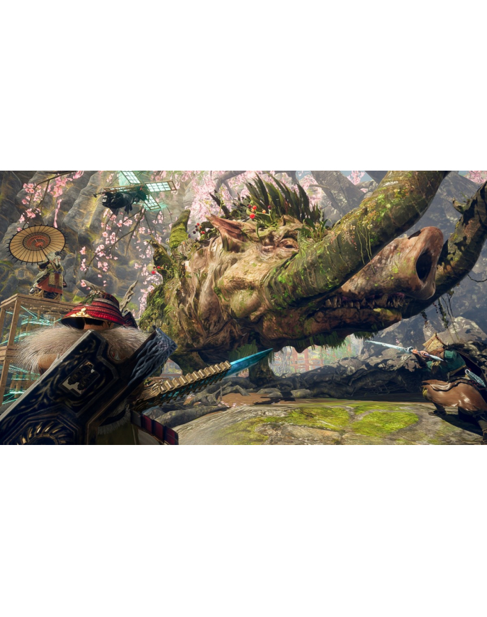 plaion Gra Nintendo Switch 2 Wild Hearts S główny