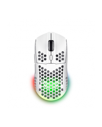 trust Mysz bezprzewodowa GXT 929W Helox biała