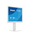 iiyama Monitor 19 '' B1980S-W1 HDMI,DP.PIVIOT,HAS/150mm - nr 11