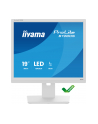 iiyama Monitor 19 '' B1980S-W1 HDMI,DP.PIVIOT,HAS/150mm - nr 18