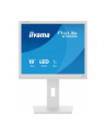 iiyama Monitor 19 '' B1980S-W1 HDMI,DP.PIVIOT,HAS/150mm - nr 29