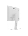 iiyama Monitor 19 '' B1980S-W1 HDMI,DP.PIVIOT,HAS/150mm - nr 3