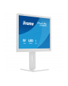 iiyama Monitor 19 '' B1980S-W1 HDMI,DP.PIVIOT,HAS/150mm - nr 41
