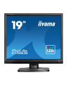 iiyama Monitor 19 '' E1980S-B1 HDMI DP 250cd 3ms - nr 1