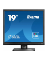 iiyama Monitor 19 '' E1980S-B1 HDMI DP 250cd 3ms - nr 27