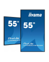 iiyama Monitor wielkoformatowy 55 '' LH5560UHS-B1AG matowy 24h/7 500(cd/m2) VA 3840 x 2160 UHD(4K) System Android.11 Wifi CMS(iiSignage2), Uchwyt ścienny - nr 42