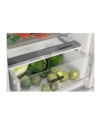 whirlpool Chłodziarko-zamrażarka do zabudowy WHC18T322