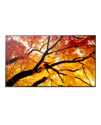 sharp Monitor MultiSync M322 32 cale 24/7 nr 1