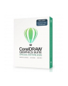 CorelDRAW Graphics Suite 2025 Special Edition - nr 2