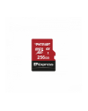 patriot Karta microSDXC 256GB Express 800/600MB/s Nintendo Switch 2 - nr 1
