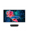 hisense Telewizor Laser TV 120 '' 120L9HA - nr 16