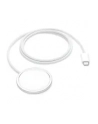 apple Ładowarka MagSafe (1m) - nr 18