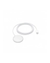 apple Ładowarka MagSafe (2 m) - nr 3