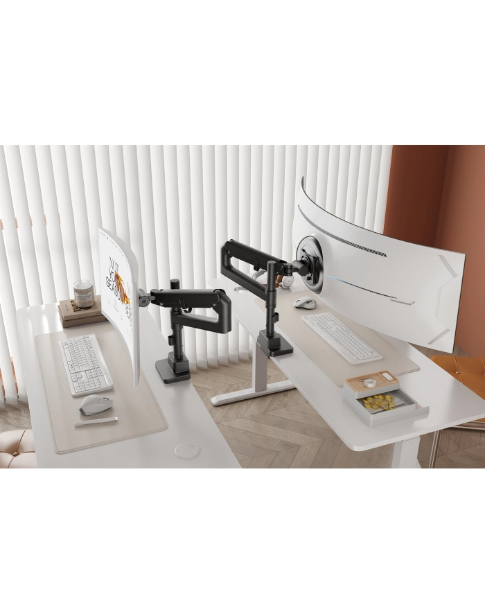 digitus Ramię biurkowe pojedyncze z zaciskiem i sprężyną gazową 1x LCD max. 57' 27kg, VESA: 75x75, 100x100, czarne główny