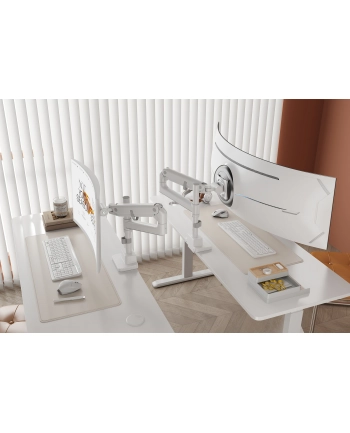 digitus Ramię biurkowe pojedyncze z zaciskiem i sprężyną gazową 1x LCD max. 57' 27kg, VESA: 75x75, 100x100, białe