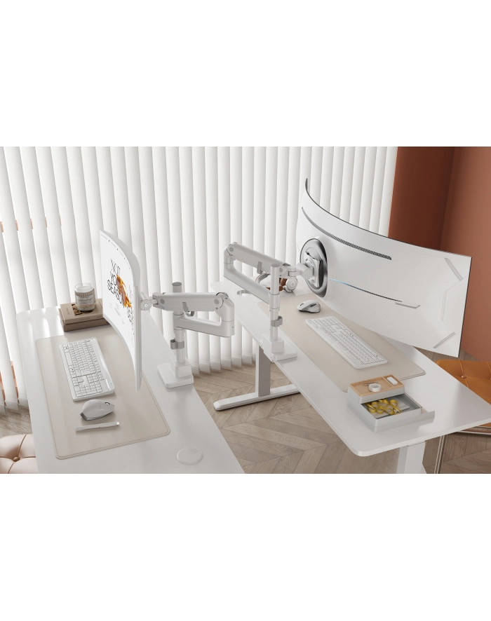 digitus Ramię biurkowe pojedyncze z zaciskiem i sprężyną gazową 1x LCD max. 57' 27kg, VESA: 75x75, 100x100, białe główny