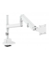 digitus Ramię biurkowe pojedyncze z zaciskiem i sprężyną gazową 1x LCD max. 57' 27kg, VESA: 75x75, 100x100, białe - nr 24