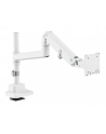 digitus Ramię biurkowe pojedyncze z zaciskiem i sprężyną gazową 1x LCD max. 57' 27kg, VESA: 75x75, 100x100, białe - nr 28