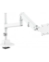 digitus Ramię biurkowe pojedyncze z zaciskiem i sprężyną gazową 1x LCD max. 57' 27kg, VESA: 75x75, 100x100, białe - nr 36