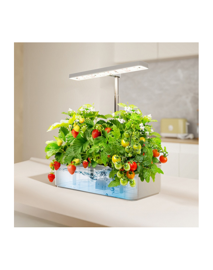 greenblue Doniczka smart  GB133 główny