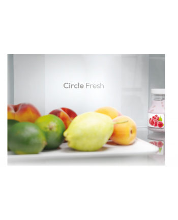 candy Chłodziarko-zamrażarka ECN2CQTEW186